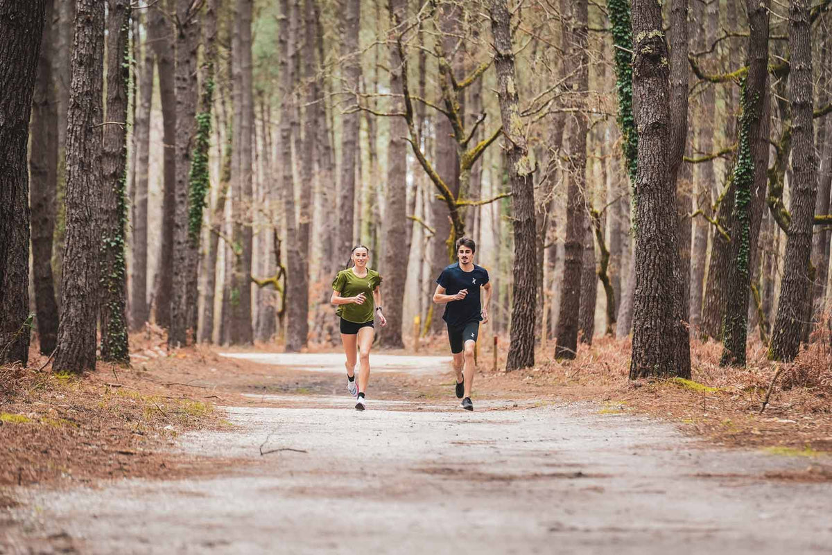 conseils entrainement marathon / plan entrainement marathon