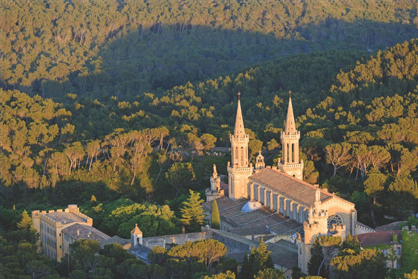 avignon la montagnette